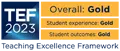 2023 Teaching Excellence Framework assessment logo